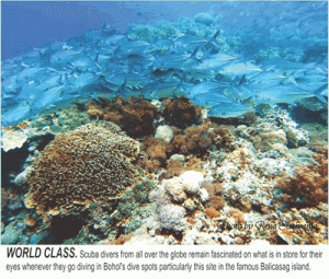 Bohol corals get $3.4M in revenues